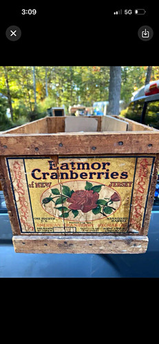Eatmor cranberries cassetta - eatmor,